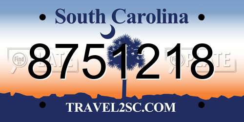 8751218 South Carolina License Plate