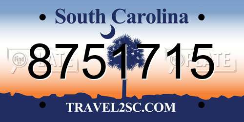 8751715 South Carolina License Plate