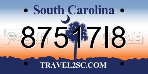 87517I8 South Carolina License Plate