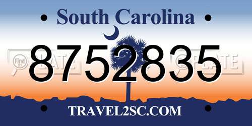 8752835 South Carolina License Plate