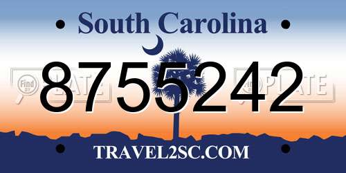 8755242 South Carolina License Plate