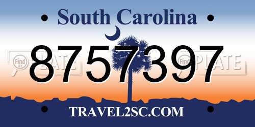 8757397 South Carolina License Plate
