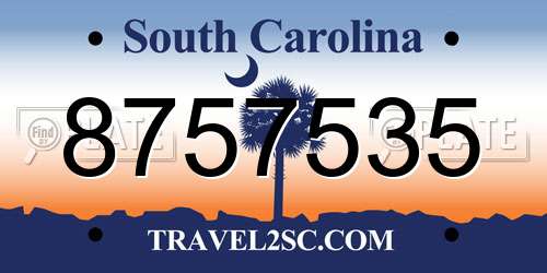 8757535 South Carolina License Plate