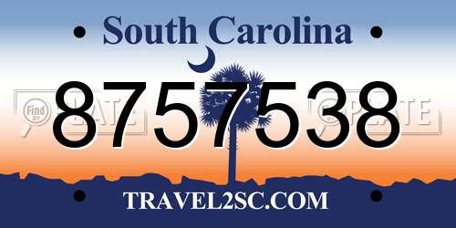 8757538 South Carolina License Plate