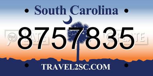 8757835 South Carolina License Plate