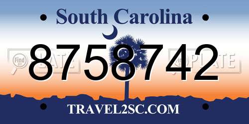 8758742 South Carolina License Plate