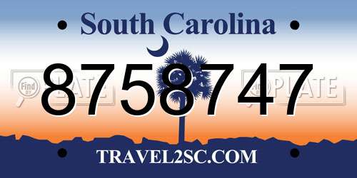 8758747 South Carolina License Plate