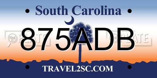875ADB South Carolina License Plate