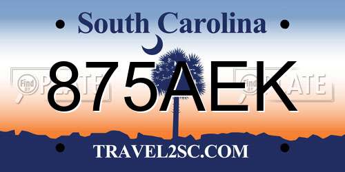 875AEK South Carolina License Plate