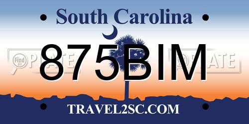 875BIM South Carolina License Plate