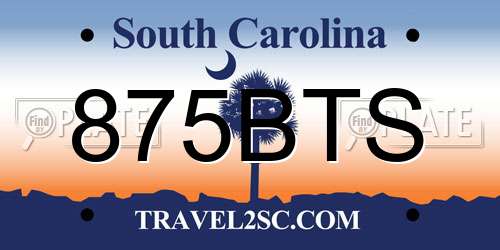 875BTS South Carolina License Plate