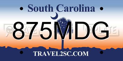 875MDG South Carolina License Plate