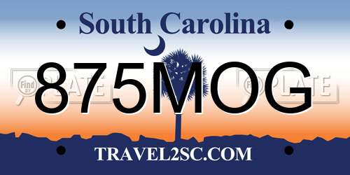 875MOG South Carolina License Plate