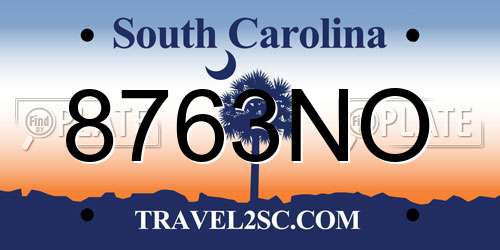 8763NO South Carolina License Plate