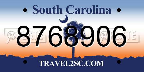 8768906 South Carolina License Plate