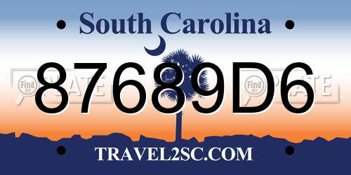 87689D6 South Carolina License Plate