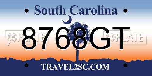 8768GT South Carolina License Plate