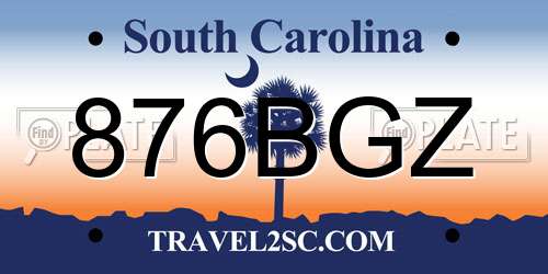 876BGZ South Carolina License Plate
