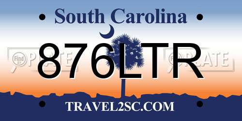 876LTR South Carolina License Plate