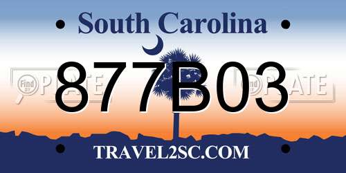 877B03 South Carolina License Plate