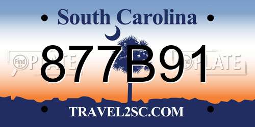 877B91 South Carolina License Plate