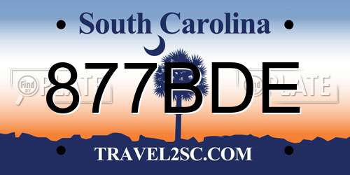 877BDE South Carolina License Plate
