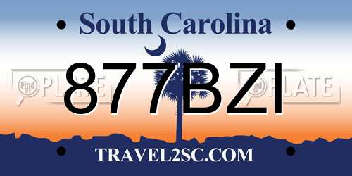 877BZI South Carolina License Plate