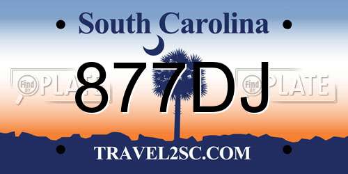 877DJ South Carolina License Plate