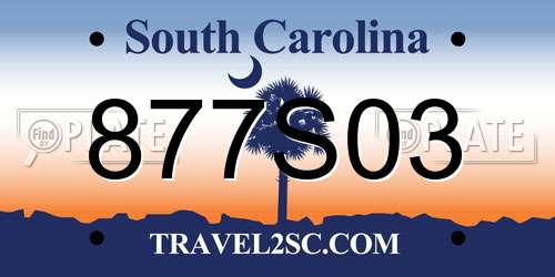 877S03 South Carolina License Plate