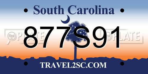 877S91 South Carolina License Plate