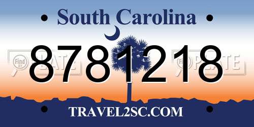 8781218 South Carolina License Plate