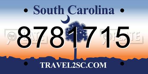 8781715 South Carolina License Plate