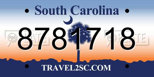 8781718 South Carolina License Plate