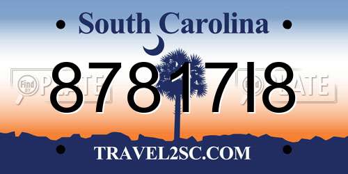 87817I8 South Carolina License Plate