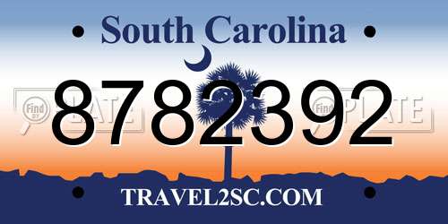 8782392 South Carolina License Plate
