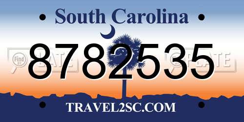 8782535 South Carolina License Plate