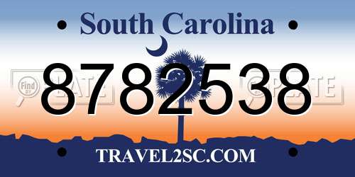 8782538 South Carolina License Plate