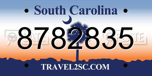 8782835 South Carolina License Plate
