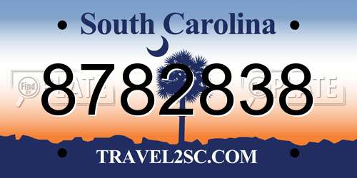 8782838 South Carolina License Plate