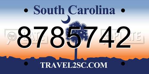 8785742 South Carolina License Plate