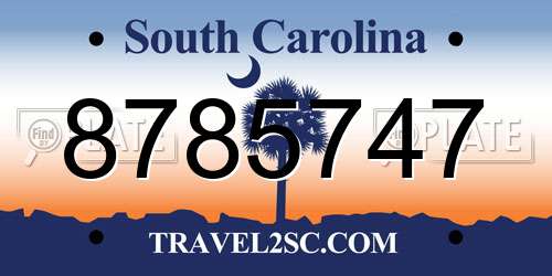 8785747 South Carolina License Plate