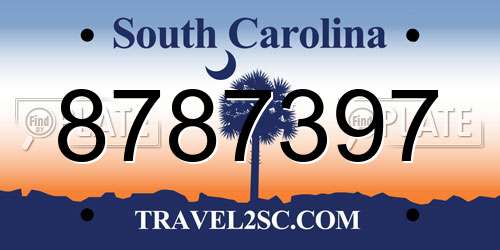 8787397 South Carolina License Plate