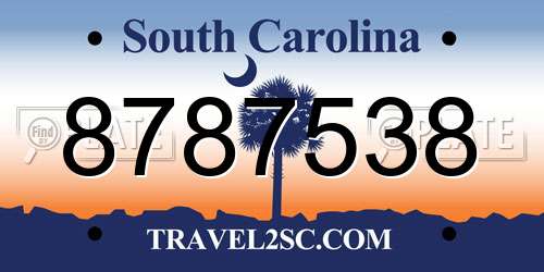8787538 South Carolina License Plate