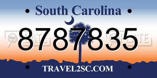 8787835 South Carolina License Plate