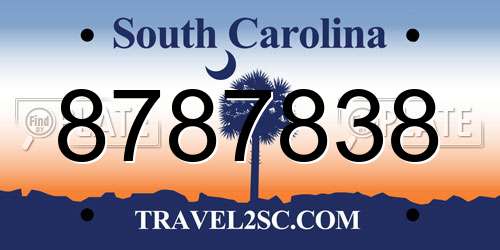 8787838 South Carolina License Plate