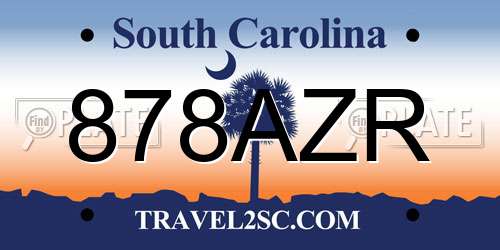 878AZR South Carolina License Plate