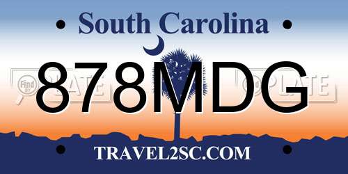878MDG South Carolina License Plate