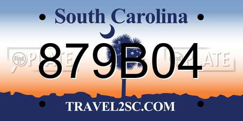 879B04 South Carolina License Plate