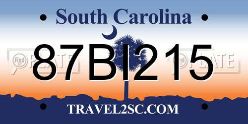 87BI215 South Carolina License Plate