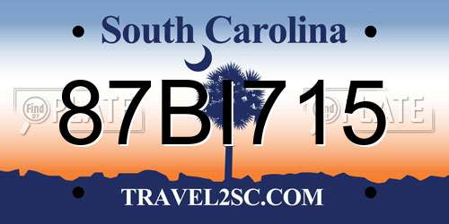 87BI715 South Carolina License Plate
